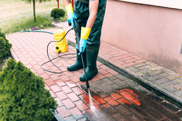 Best Best Pressure Washing Companies  in Mount Hore, WI