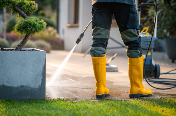 Best Deck Cleaning Services  in Mount Hore, WI